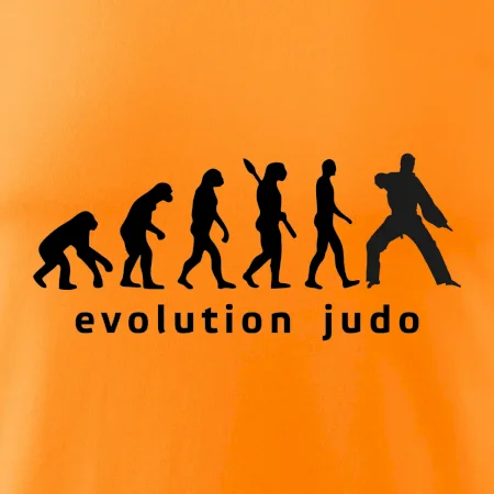 Judo evoluce - úder