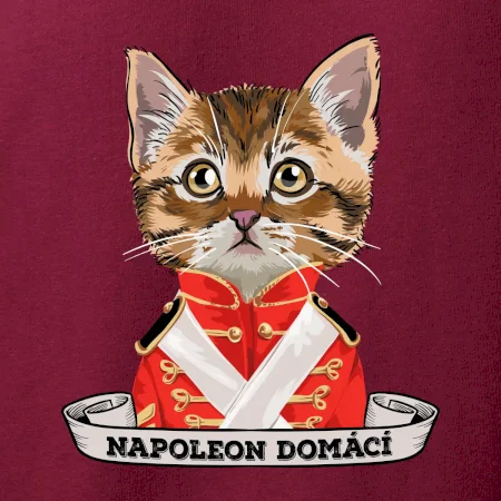 Napoleon domácí kočka