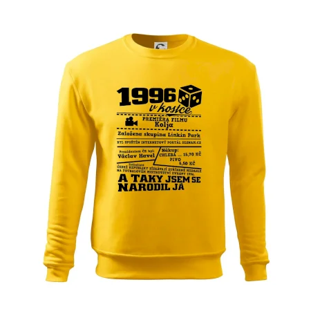 1996 v kostce