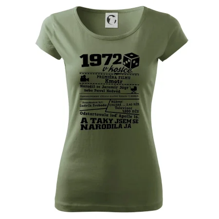 1972 v kostce