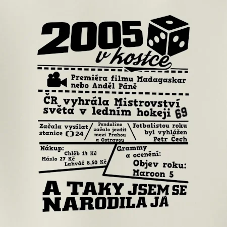 2005 v kostce