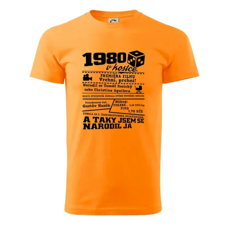 1980 v kostce