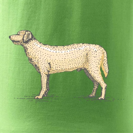 Vintage Labrador