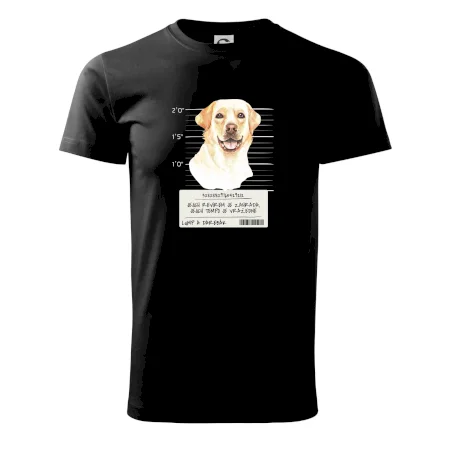 Lump a darebák labrador
