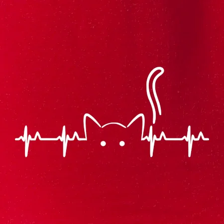 Kočka EKG
