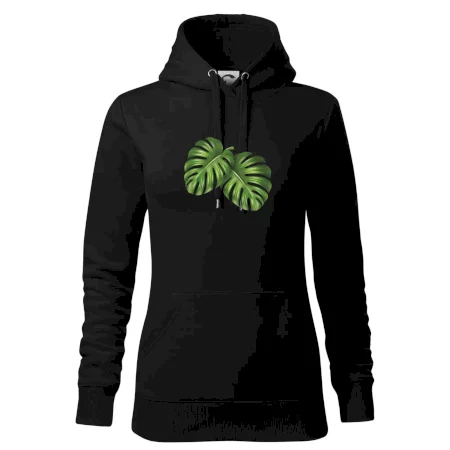 Monstera - dva listy