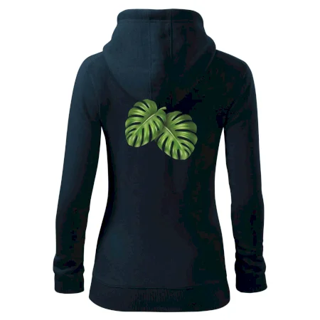 Monstera - dva listy