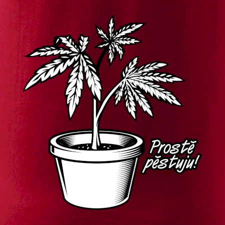 Konopi prostě pěstuju