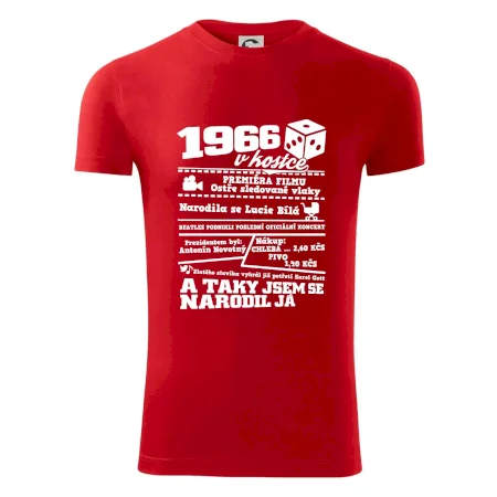 1966 v kostce