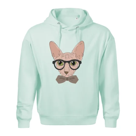 Hipster sphynx