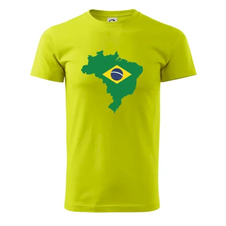 Brazílie vlajka v mapě