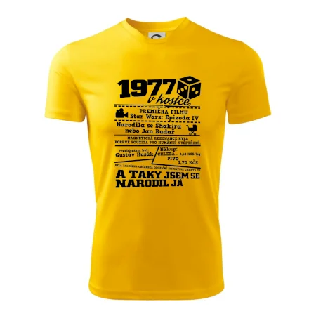 1977 v kostce
