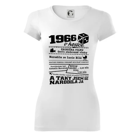 1966 v kostce