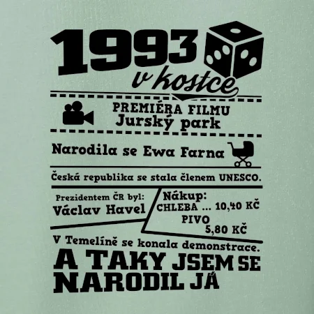 1993 v kostce