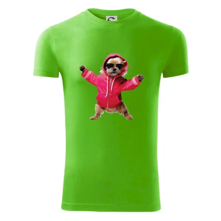 Yorkšír v mikině