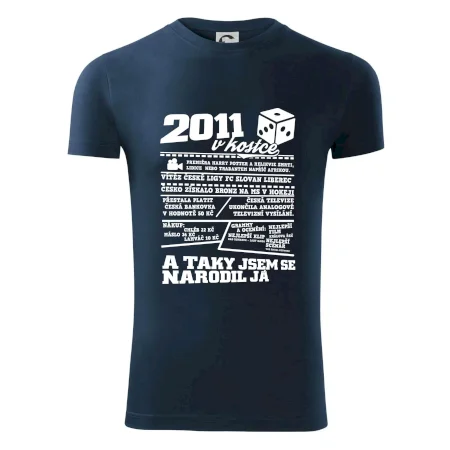 2011 v kostce