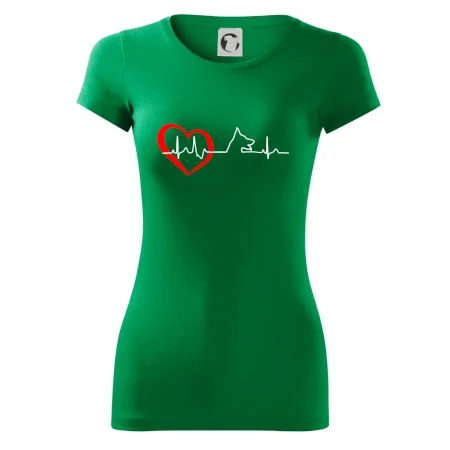 Německý ovčák ekg