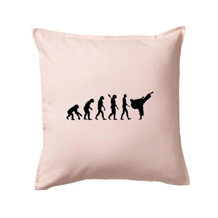 Karate Evoluce - kop