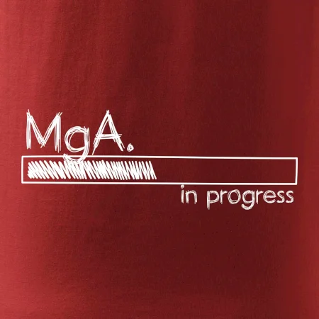 In progress titul MgA.  magistr / magistra umění