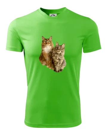 Kočky vectorizované  (Moňas)