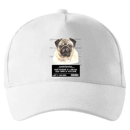 Lump a darebák mopsík