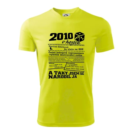 2010 v kostce