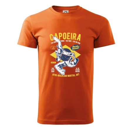 Capoeira  Afro-brazil art
