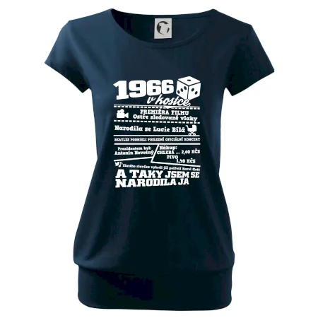 1966 v kostce