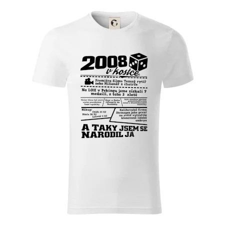 2008 v kostce