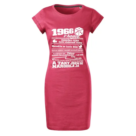 1966 v kostce