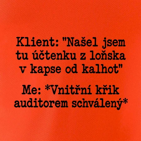 Klient a vnitřní auditorský křik
