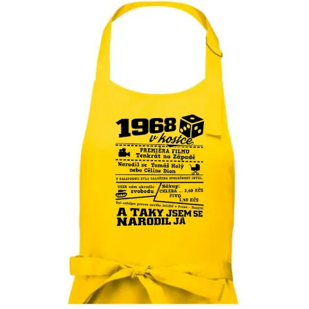 1968 v kostce
