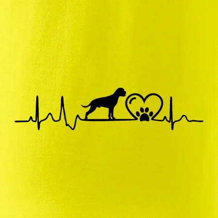 Německý boxer EKG