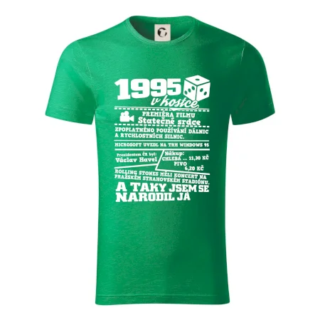 1995 v kostce