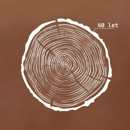 Letokruhy - 40