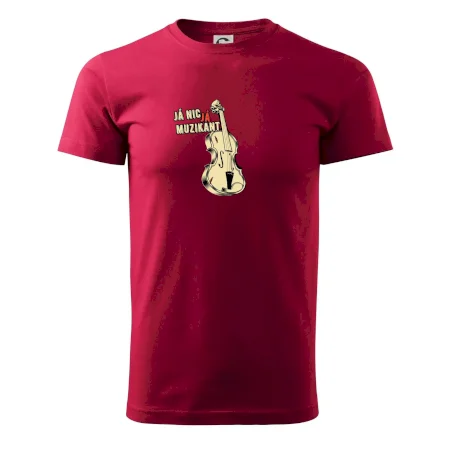 Já nic, já muzikant