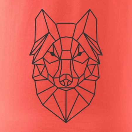 Geometrie - vlk