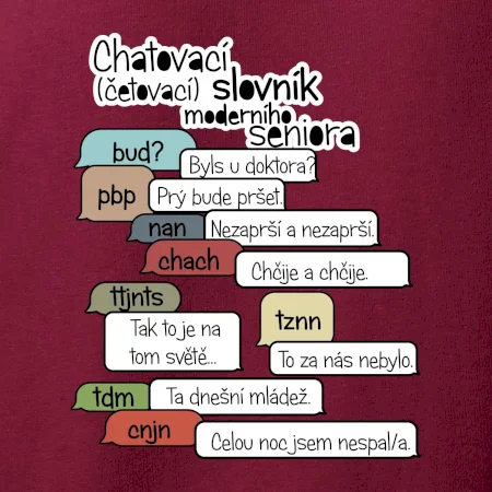 Chatovací slovník moderního seniora (Běžící češtinář)