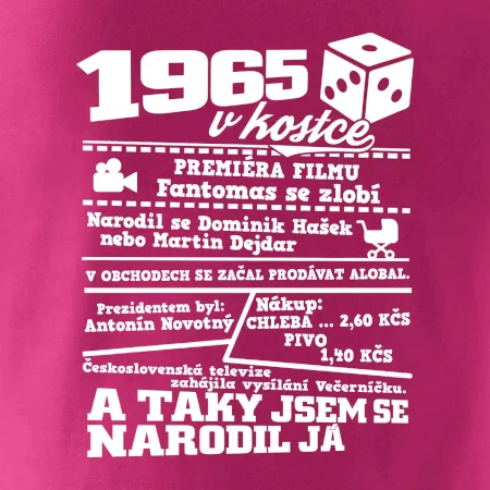 1965 v kostce