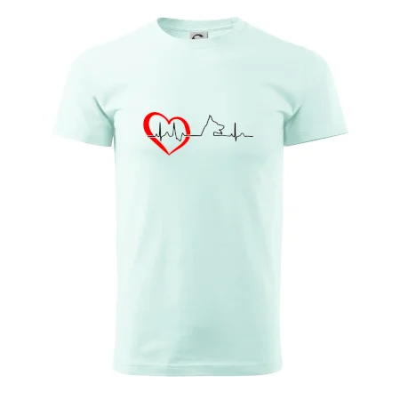 Německý ovčák ekg