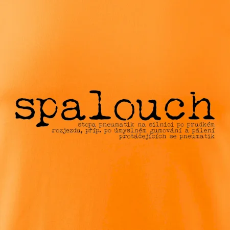 Čeština 2.0 - spalouch