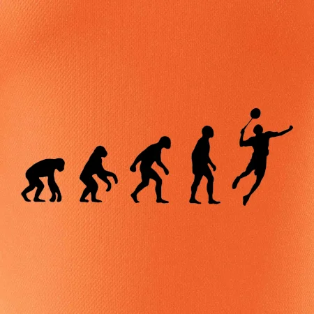 Evoluce Badminton