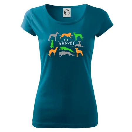 Whippet barevný