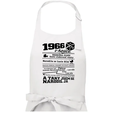 1966 v kostce