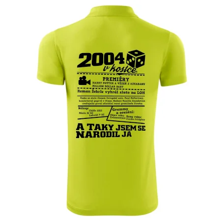 2004 v kostce