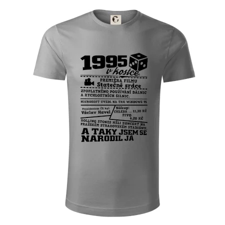 1995 v kostce