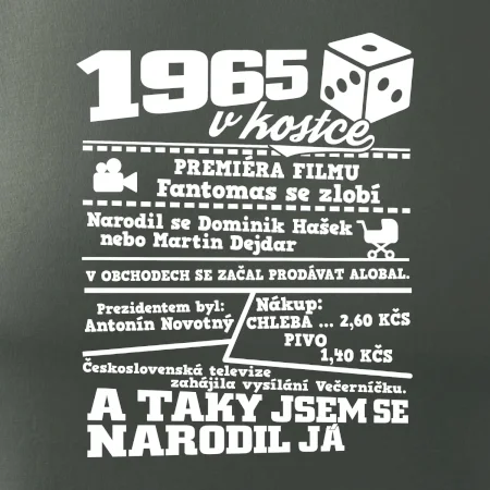 1965 v kostce