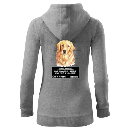 Lump a darebák zlatý retrívr