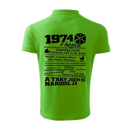 1974 v kostce