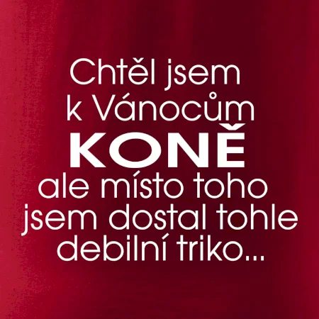 Chtěl jsem dostat k Vánocům koně